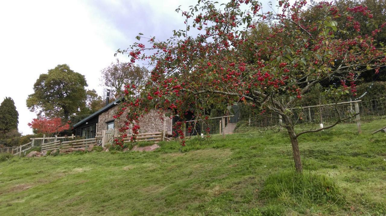 מונמות' Top Barn Wales מראה חיצוני תמונה